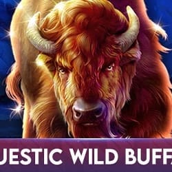 Majestic Wild Buffalo icon